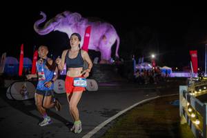 BIB: 
                            <button type="button" onclick="openModal(26551985)" class="btn btn-primary btn-sm float-right btn-popup" data-toggle="modal" data-target=".modal-high-quality">
                        <i class="fas fa-shopping-cart"></i> Add to Cart
                    </button>
                                            <button type="button" onclick="isThisMe(26551985, true)" class="btn btn-success btn-sm float-right btn-popup btn-isme hidden" data-toggle="tooltip" data-placement="bottom" title="นี่คือรูปของคุณใช่ไหม คลิกที่นี่เพื่อเอาเข้าอัลบั้ม">
                        <i class="fas fa-plus"></i> Add to album
                    </button>
                    <button type="button" onclick="isThisMe(26551985, false)" class="btn btn-warning btn-sm float-right btn-popup btn-isnotme hidden">
                        <i class="fas fa-ban"></i> Remove from album
                    </button>